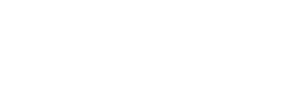 the say foundation